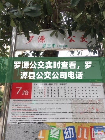 罗源公交实时查看，罗源县公交公司电话 