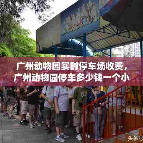 诚心诚意 第8页