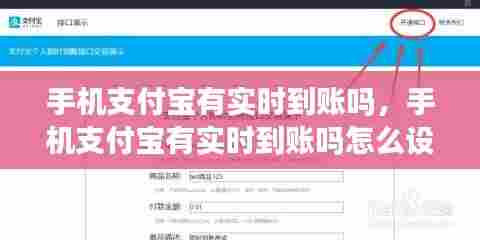 手机支付宝有实时到账吗,手机支付宝有实时到账吗怎么设置