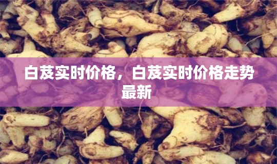 白芨实时价格,白芨实时价格走势最新
