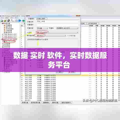 数据 实时 软件，实时数据服务平台 