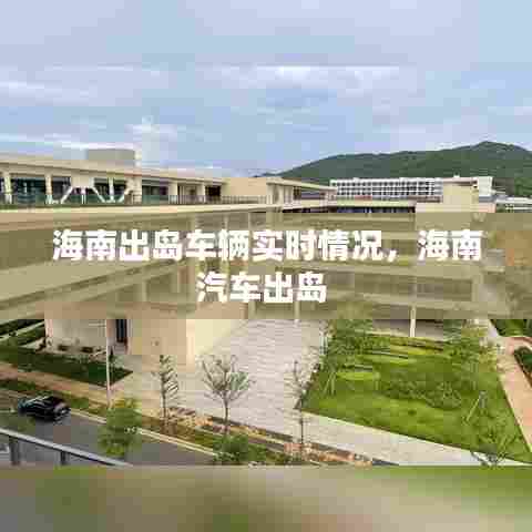 海南出岛车辆实时情况,海南汽车出岛