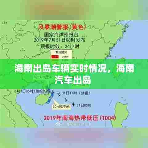海南出岛车辆实时情况,海南汽车出岛