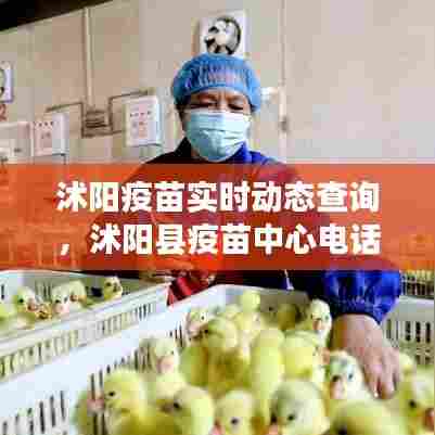 沭阳疫苗实时动态查询,沭阳县疫苗中心电话号码