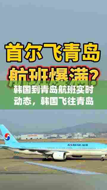 韩国到青岛航班实时动态,韩国飞往青岛的航班有几点的