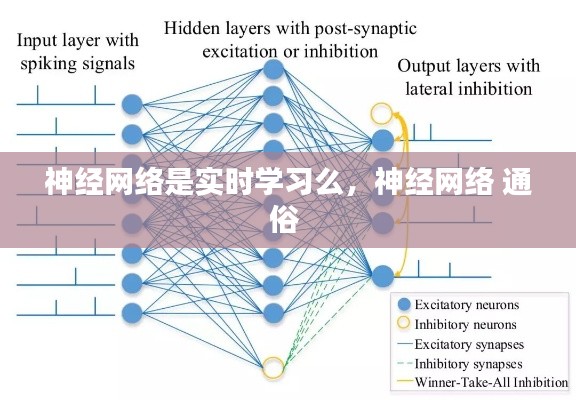神经网络是实时学习么，神经网络 通俗 