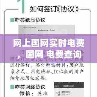 网上国网实时电费,国网 电费查询