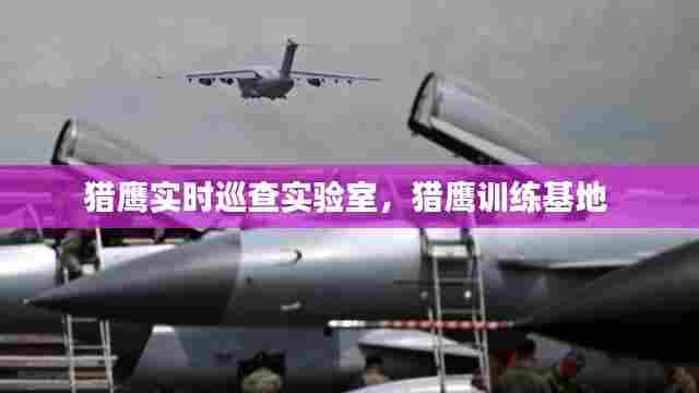 猎鹰实时巡查实验室，猎鹰训练基地 