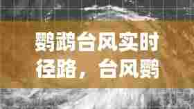 鹦鹉台风实时径路，台风鹦鹉全程卫星云图 