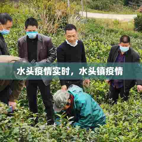 水头疫情实时,水头镇疫情