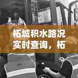 柘城积水路况实时查询,柘城水库规划