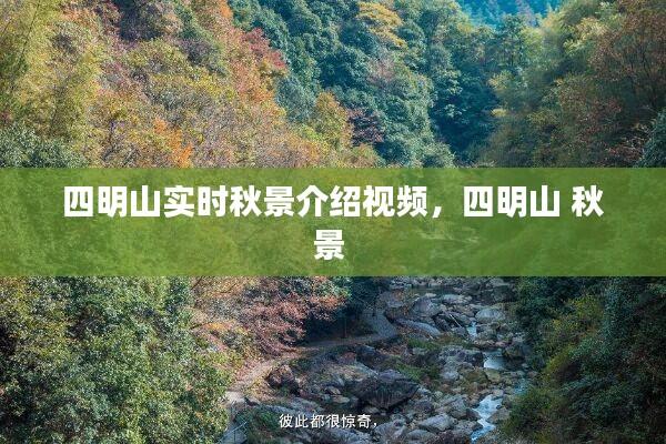 四明山实时秋景介绍视频,四明山 秋景