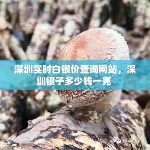 深圳实时白银价查询网站，深圳银子多少钱一克 