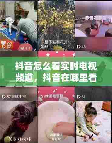抖音怎么看实时电视频道，抖音在哪里看电视 