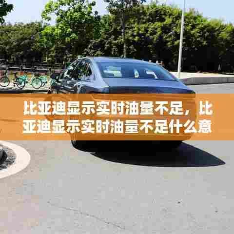 比亚迪显示实时油量不足,比亚迪显示实时油量不足什么意思