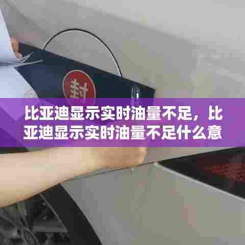 比亚迪显示实时油量不足,比亚迪显示实时油量不足什么意思