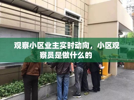 观察小区业主实时动向,小区观察员是做什么的