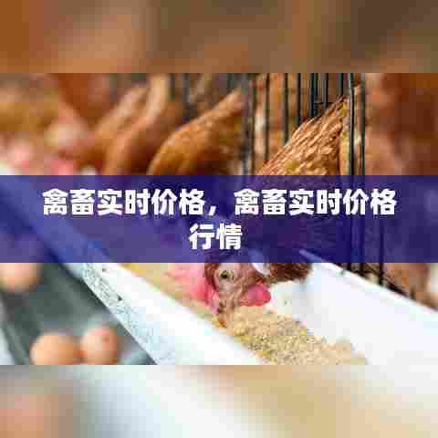 禽畜实时价格,禽畜实时价格行情