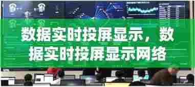数据实时投屏显示，数据实时投屏显示网络异常 