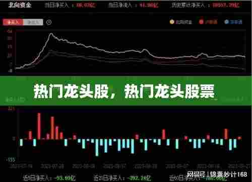 热门龙头股，热门龙头股票 