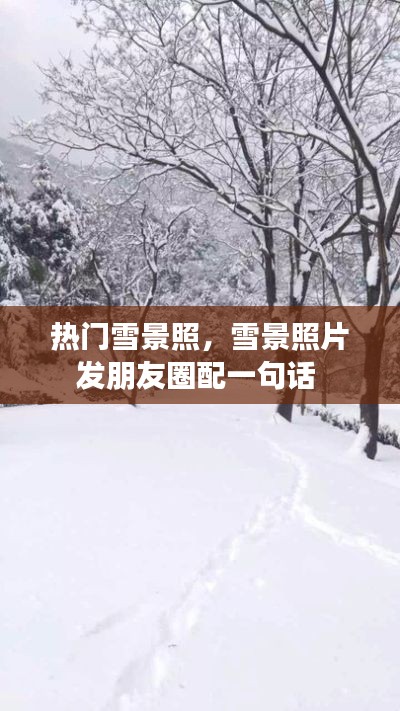 热门雪景照，雪景照片发朋友圈配一句话 