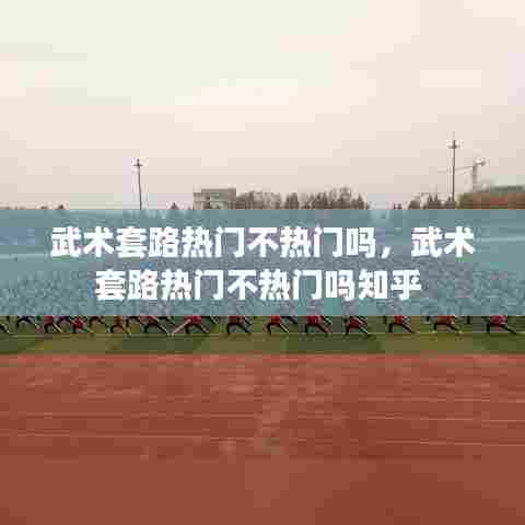 武术套路热门不热门吗，武术套路热门不热门吗知乎 