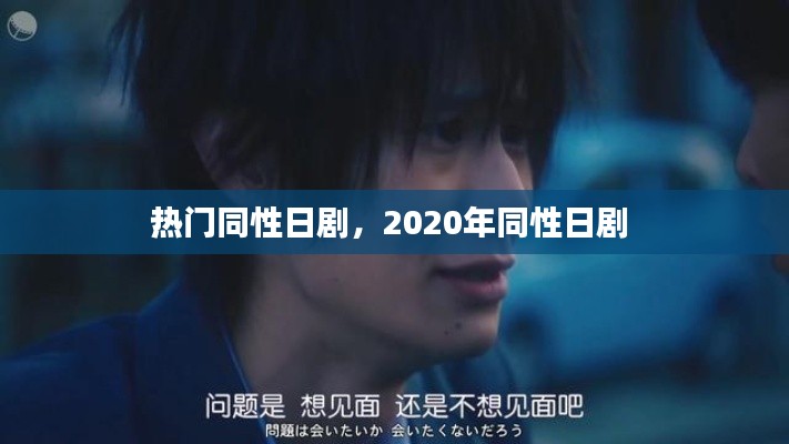 热门同性日剧，2020年同性日剧 