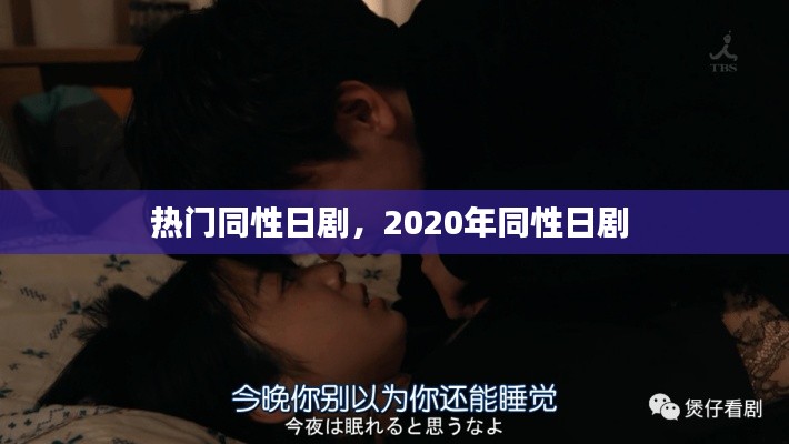 热门同性日剧,2020年同性日剧