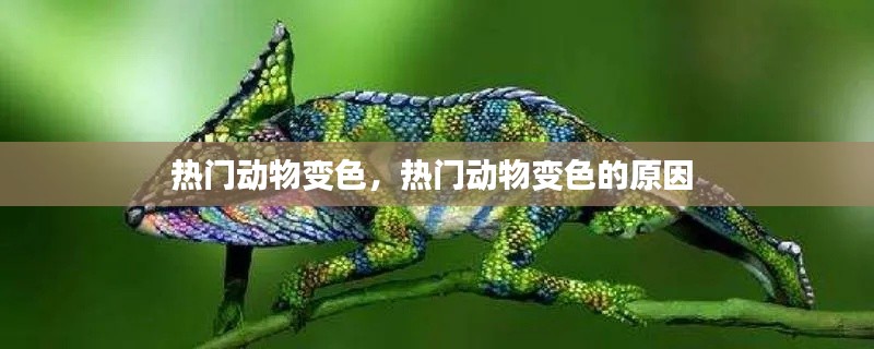 热门动物变色,热门动物变色的原因