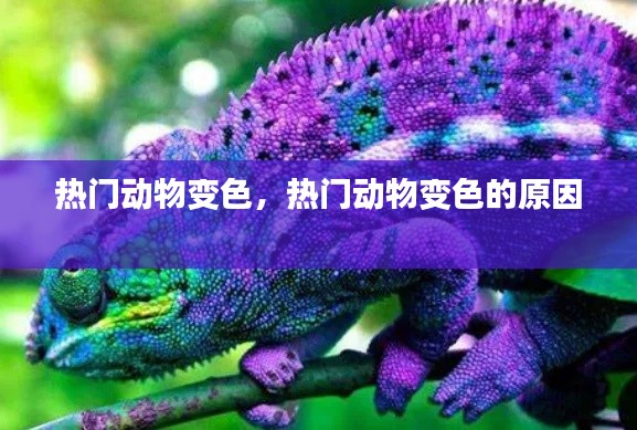 热门动物变色,热门动物变色的原因
