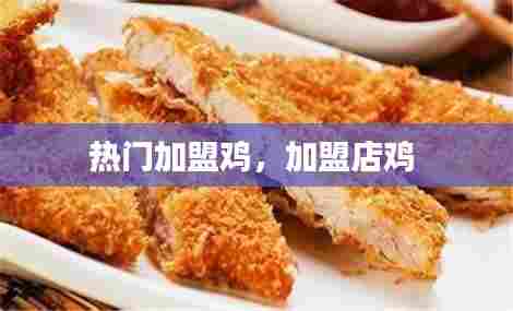 热门加盟鸡，加盟店鸡 