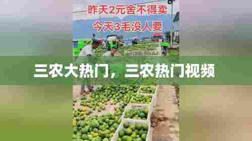 井蛙之见 第6页