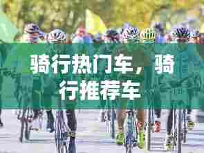 骑行热门车,骑行推荐车