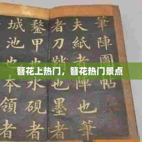簪花上热门，簪花热门景点 
