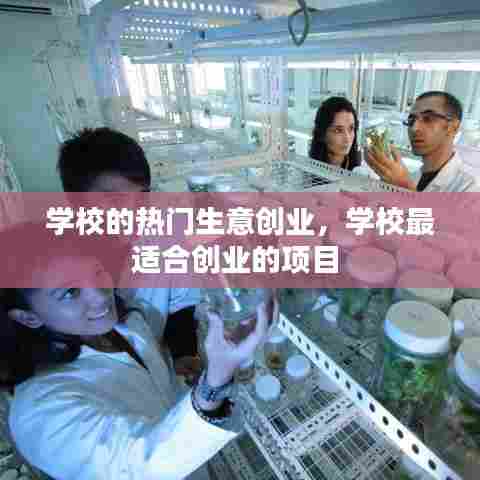 学校的热门生意创业，学校最适合创业的项目 