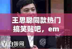 王思聪同款热门搞笑贴吧,emo 王思聪