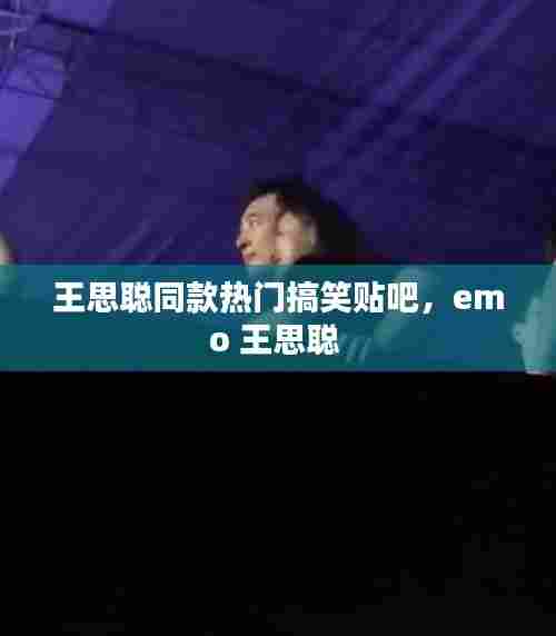 王思聪同款热门搞笑贴吧，emo 王思聪 