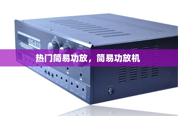 热门简易功放，简易功放机 