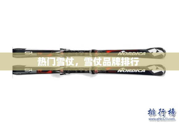 热门雪仗,雪仗品牌排行