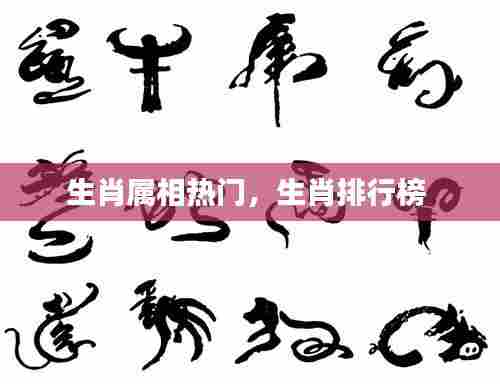 生肖属相热门,生肖排行榜
