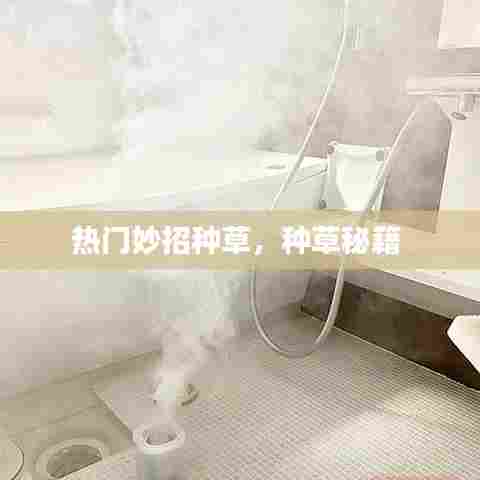 热门妙招种草,种草秘籍