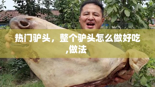 热门驴头,整个驴头怎么做好吃,做法