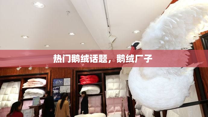 热门鹅绒话题，鹅绒厂子 