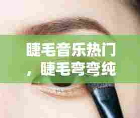 睫毛音乐热门，睫毛弯弯纯音乐 