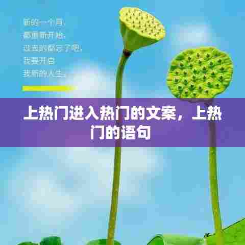 上热门进入热门的文案,上热门的语句