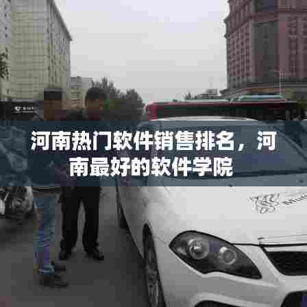 河南热门软件销售排名，河南最好的软件学院 