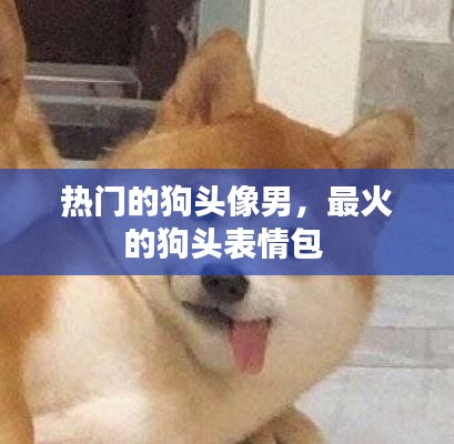 热门的狗头像男,最火的狗头表情包