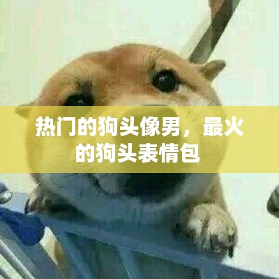 热门的狗头像男,最火的狗头表情包