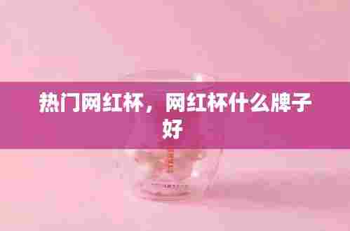 热门网红杯，网红杯什么牌子好 