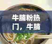 牛腩粉热门，牛腩粉的介绍 